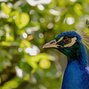 4 Campo Grande abril 2026 3-05042026-9P3A6109